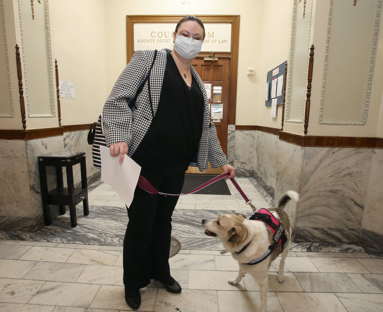 therapy dog